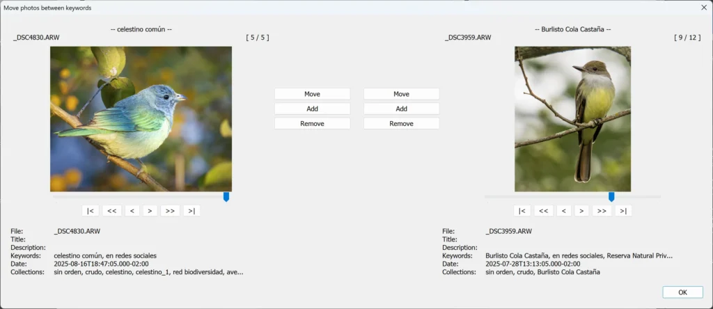 keywordsmanager moverfotos en